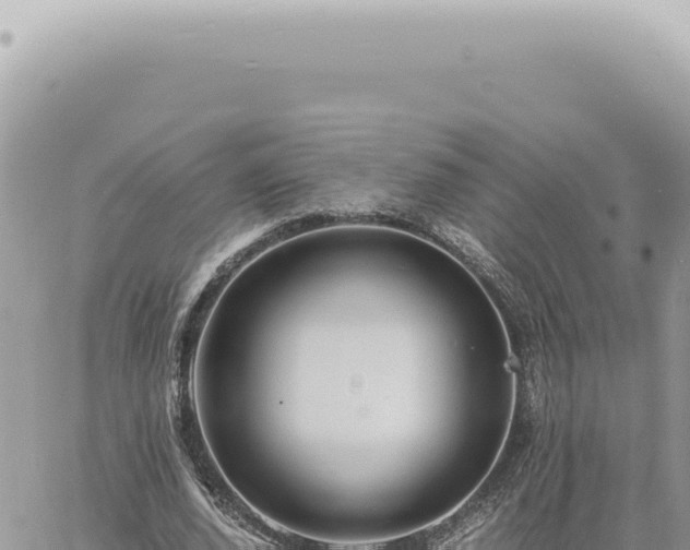 X0000060770728200511171212