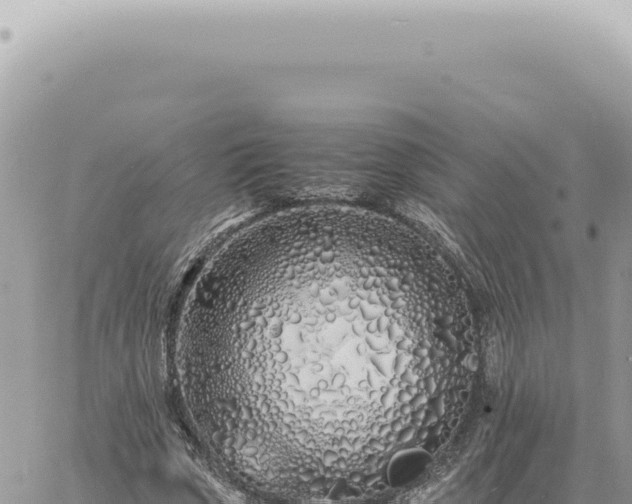 X0000060770729200511171212