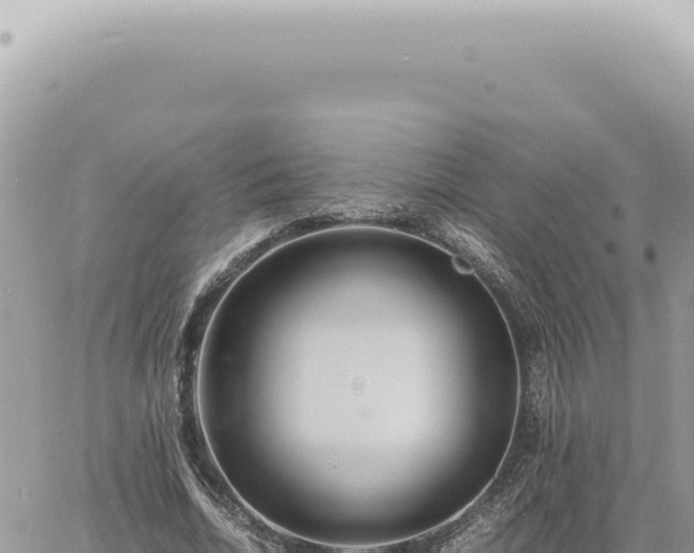 X0000060770730200511171212