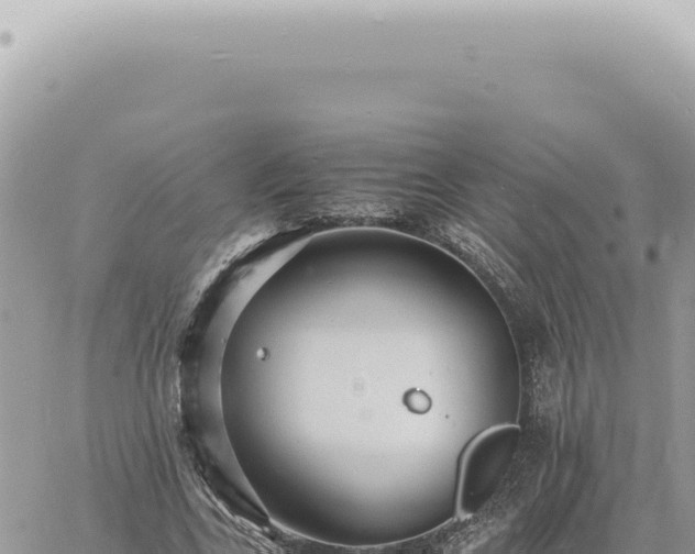 X0000060770731200511171212