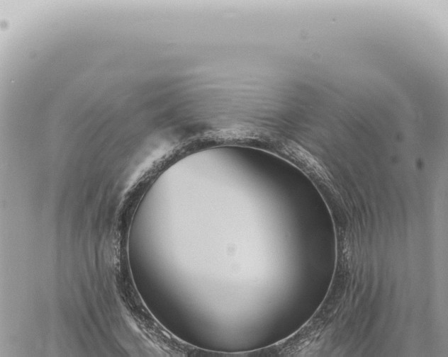 X0000060770732200511171212