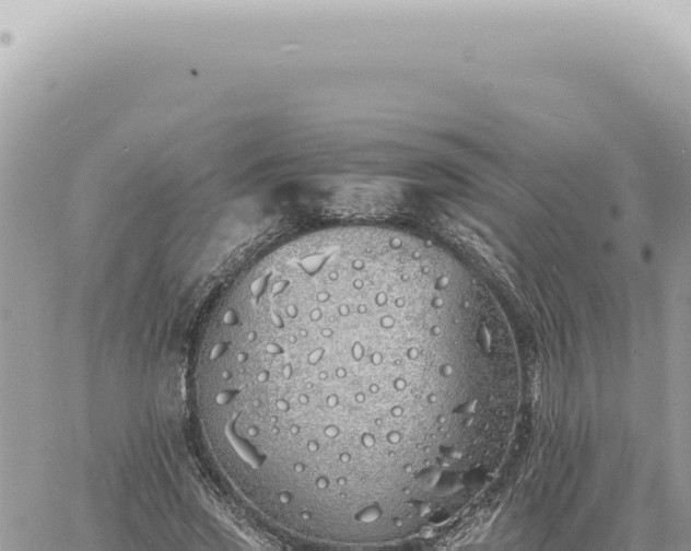 X0000060770733200511171212