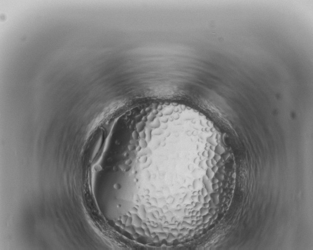 X0000060770734200511171212