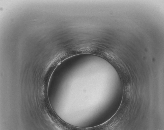 X0000060770735200511171212