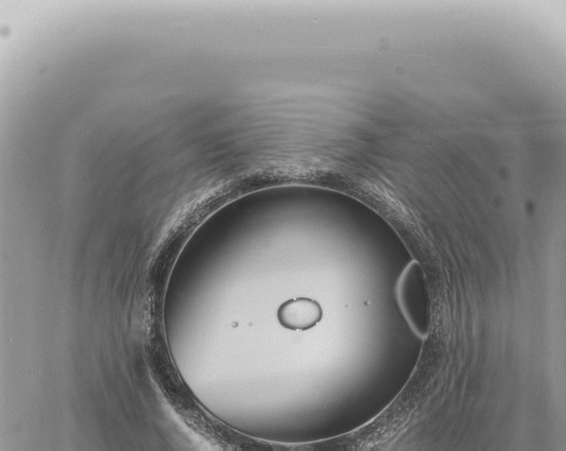 X0000060770736200511171212