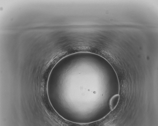 X0000060770739200511171213