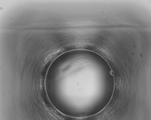 X0000060770740200511171213