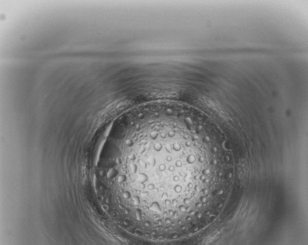 X0000060770741200511171213