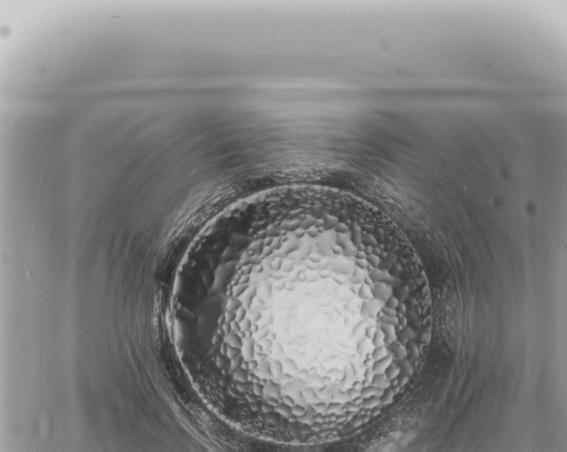 X0000060770742200511171213