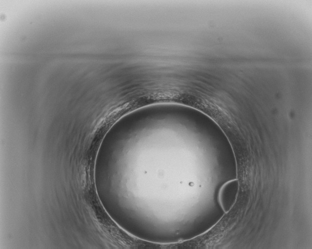 X0000060770743200511171213