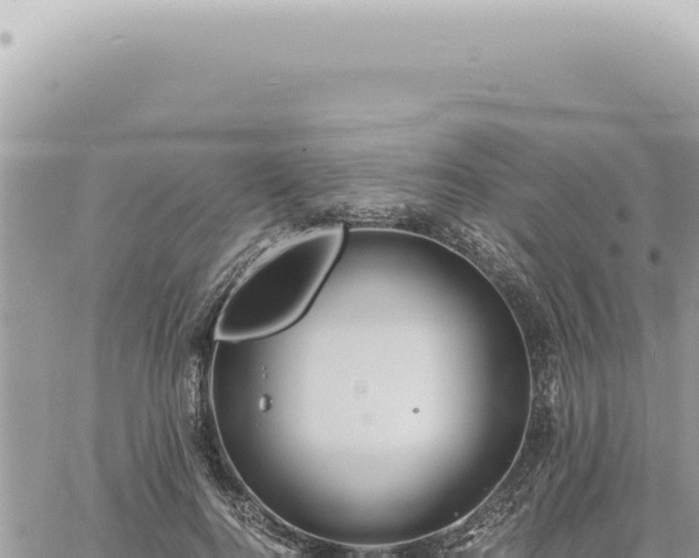 X0000060770744200511171213