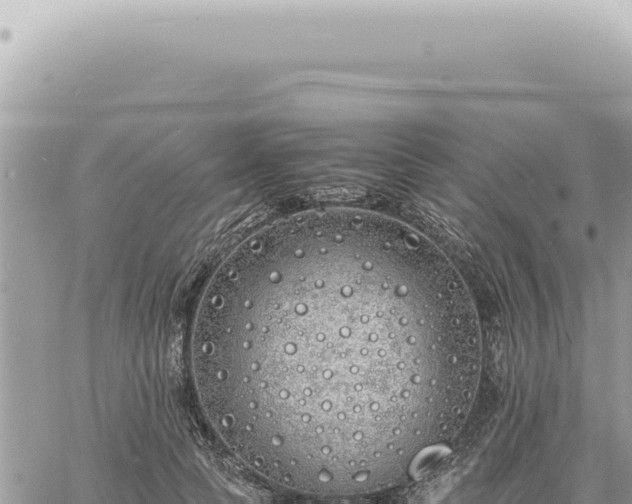 X0000060770745200511171213