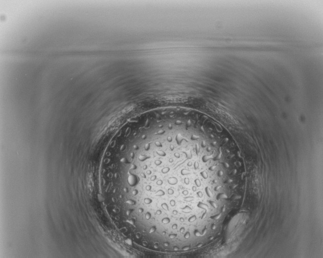 X0000060770746200511171213