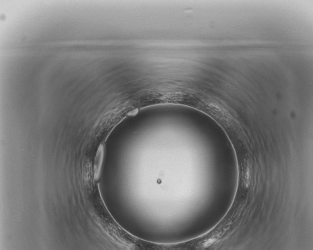 X0000060770748200511171213