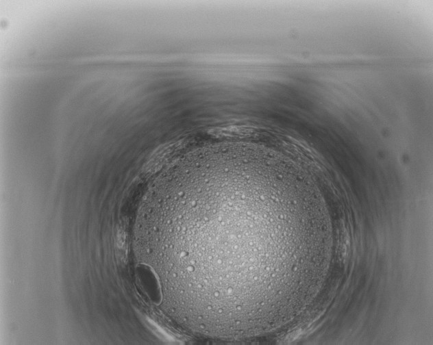 X0000060770749200511171213