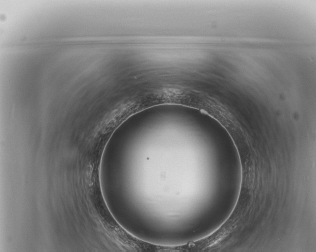 X0000060770750200511171213