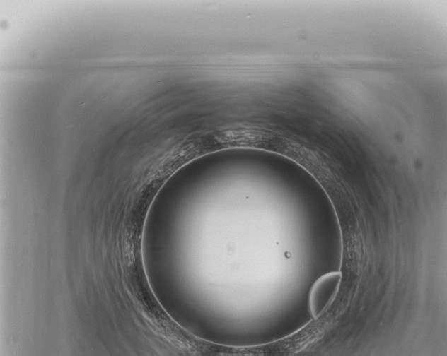 X0000060770751200511171213