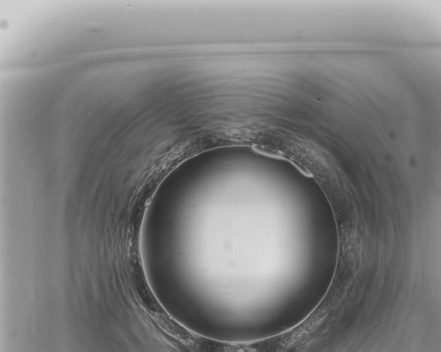 X0000060770752200511171213