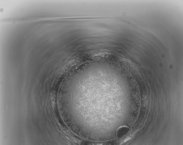 X0000060770753200511171213