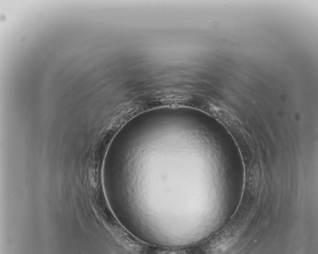 X0000060770755200511171213