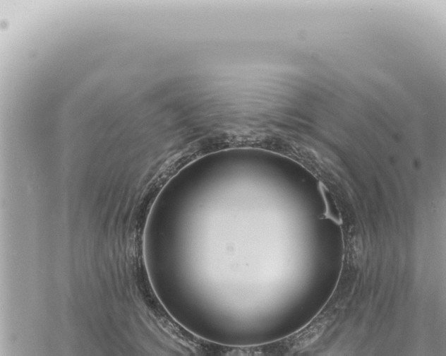 X0000060770756200511171213