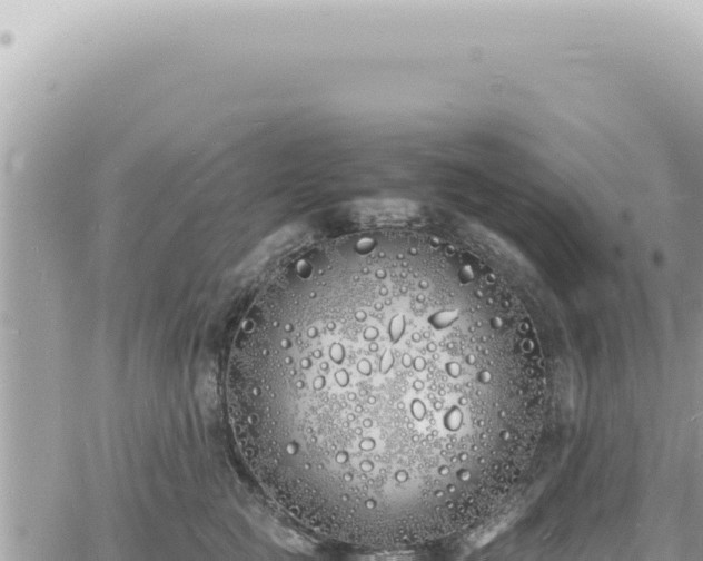 X0000060770761200511171213