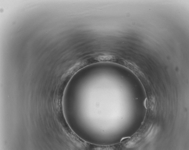 X0000060770763200511171213