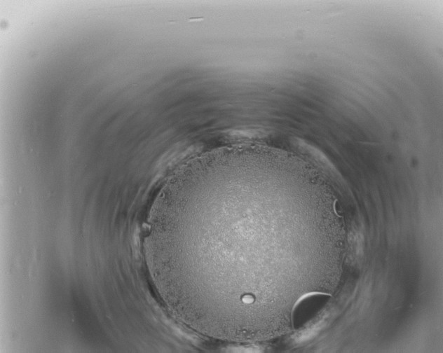 X0000060770765200511171213