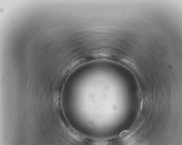 X0000060770767200511171213