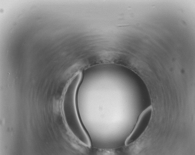 X0000060770768200511171213