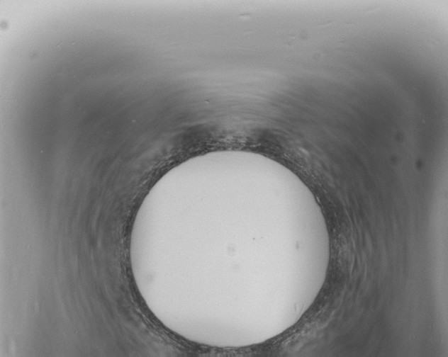 X0000060770769200511171212