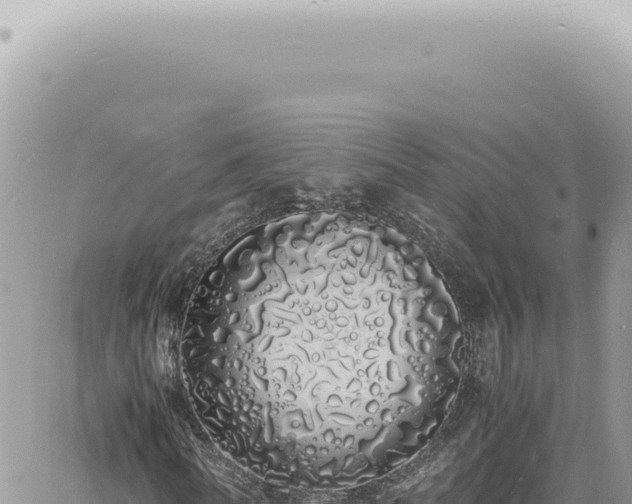 X0000060770770200511171212