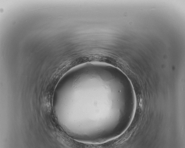 X0000060770771200511171212