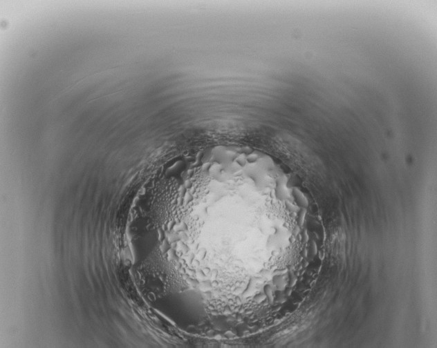 X0000060770772200511171212