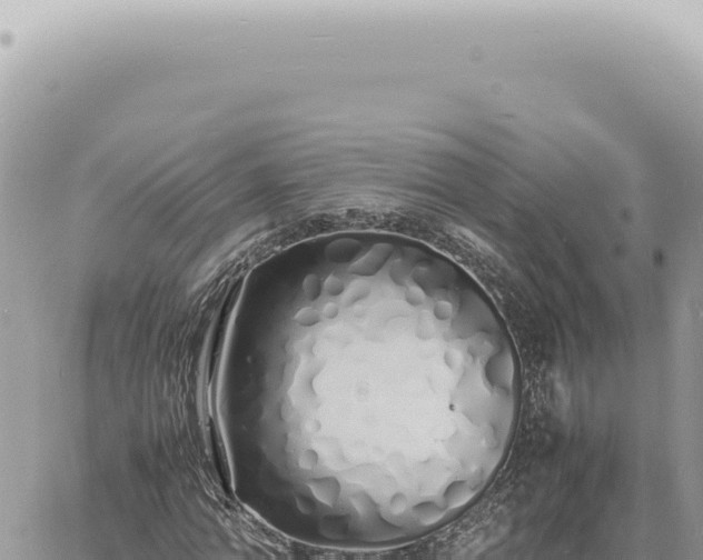 X0000060770774200511171212