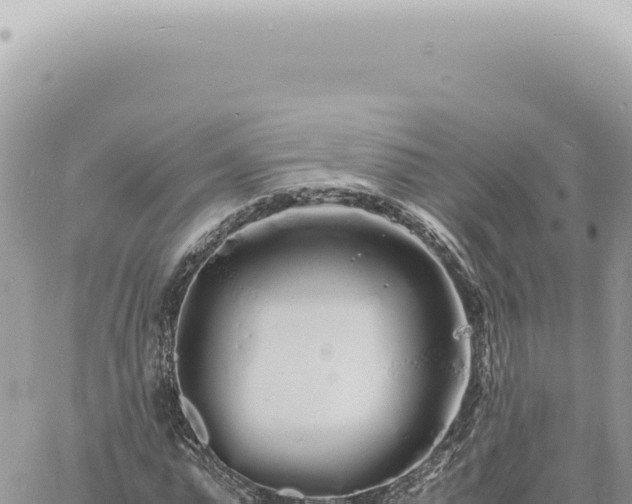 X0000060770775200511171212