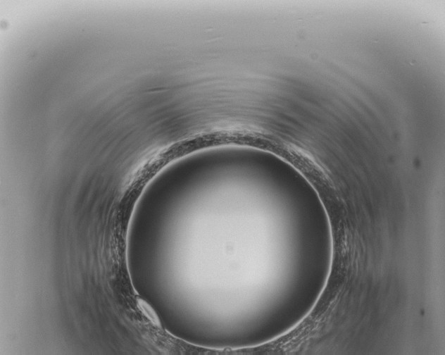 X0000060770776200511171212