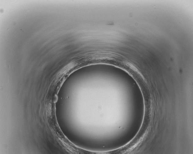 X0000060770777200511171212