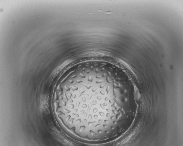 X0000060770778200511171212