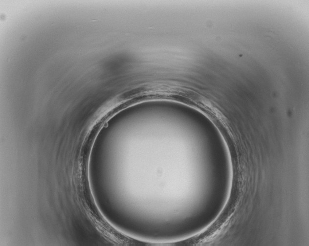 X0000060770779200511171212