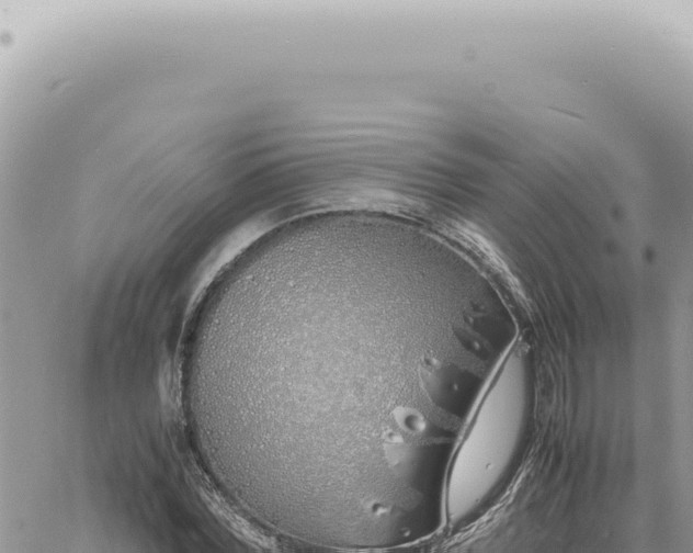 X0000060770780200511171212