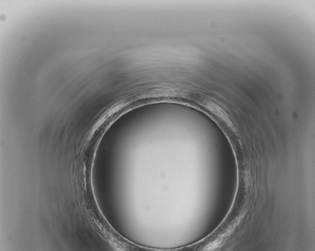 X0000060770781200511171212