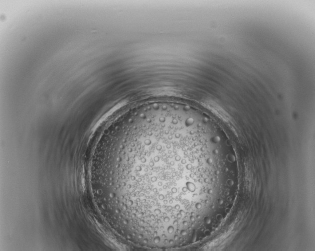 X0000060770782200511171212