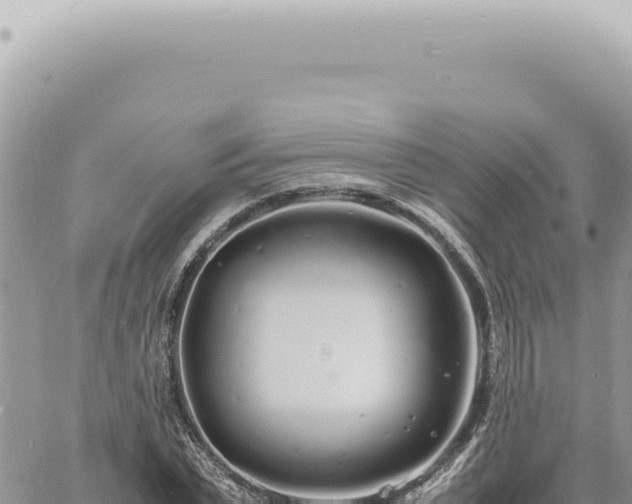 X0000060770783200511171212