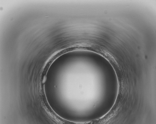 X0000060770784200511171212