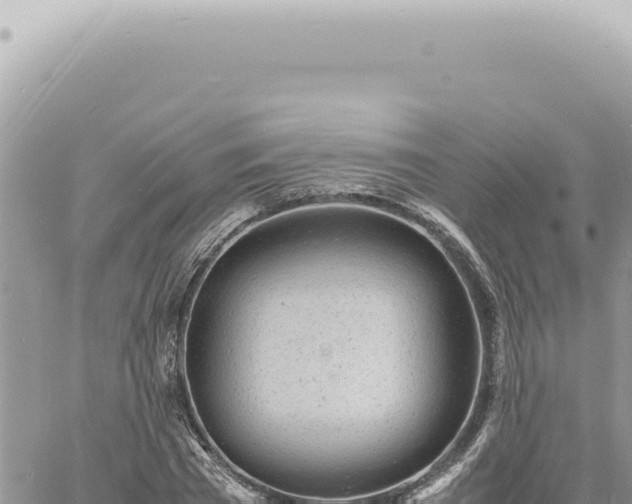 X0000060770785200511171212