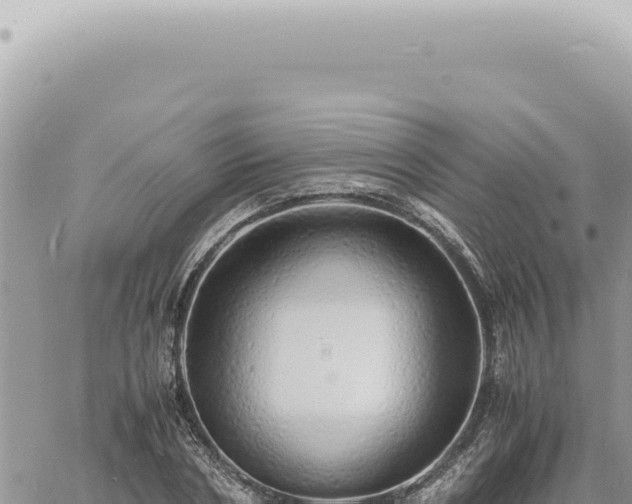 X0000060770786200511171212