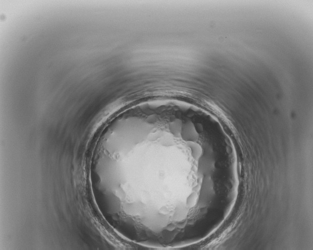 X0000060770787200511171212