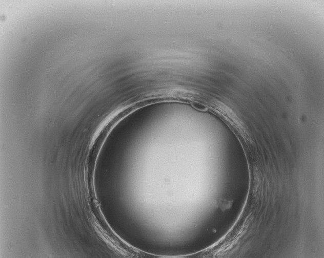 X0000060770788200511171212