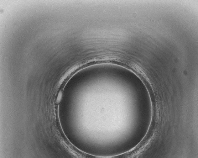 X0000060770789200511171212